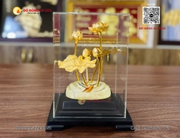 HỘP SEN VÀNG QUÀ TẶNG SẾP NỮ