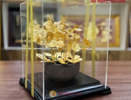Chậu Lan Bằng Vàng 24k Qùa tặng đối tác