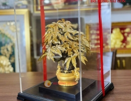 Cây Kim Tiền Quà Tặng Đối Tác Ý Nghĩa