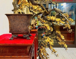 Cây mai vàng bằng đồng mạ vàng 24K dáng bon sai