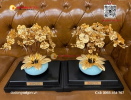 Quà Tặng Chậu Lan Vàng Ý Nghĩa